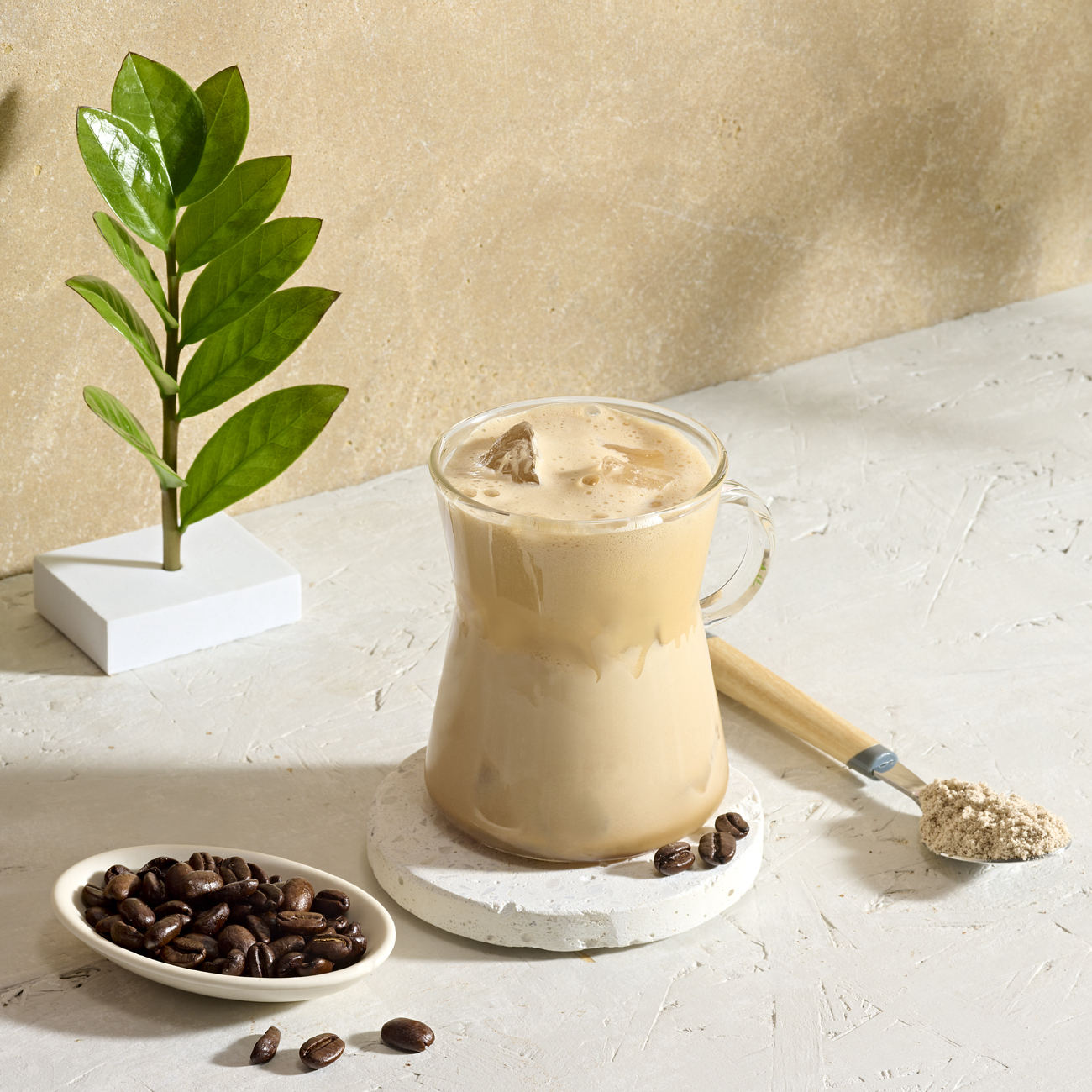 High Protein Iced Coffee Latte Macchiato 308 g — prepared product